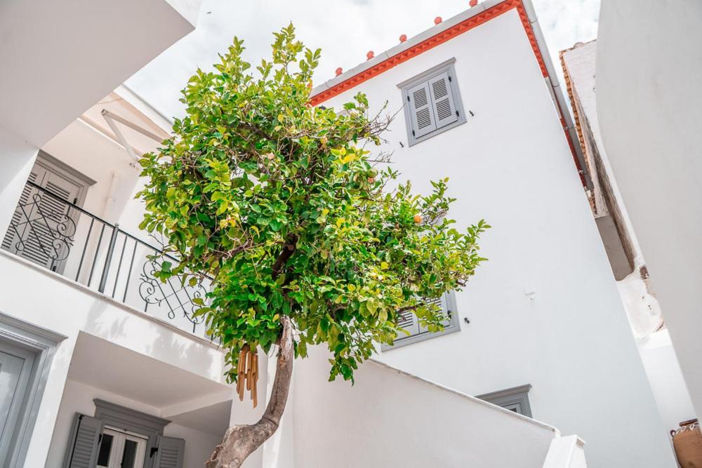 Lemon Tree - Hydra Dream Houses Экстерьер фото